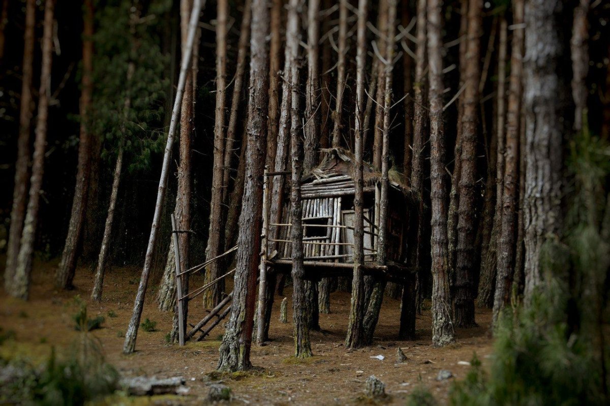 Старинный дом в лесу