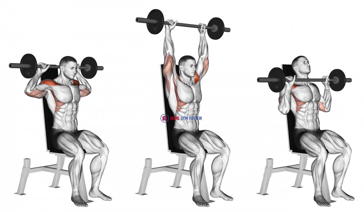 Seated Dumbbell overhead Press