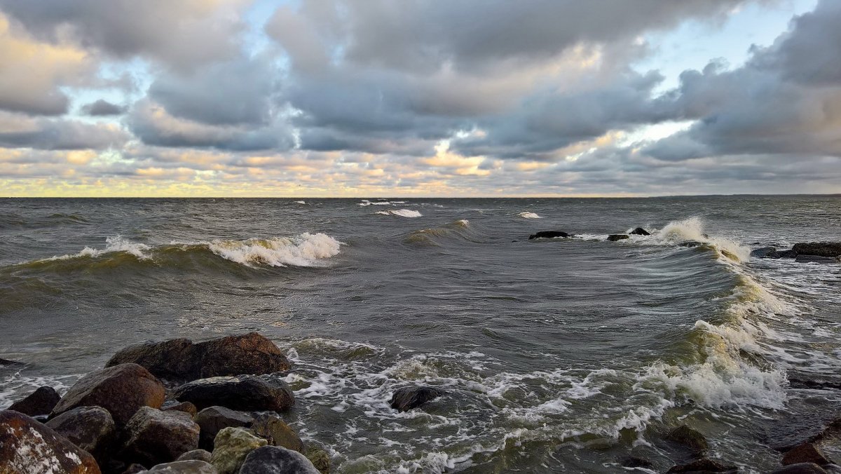 Балтийское море финский залив