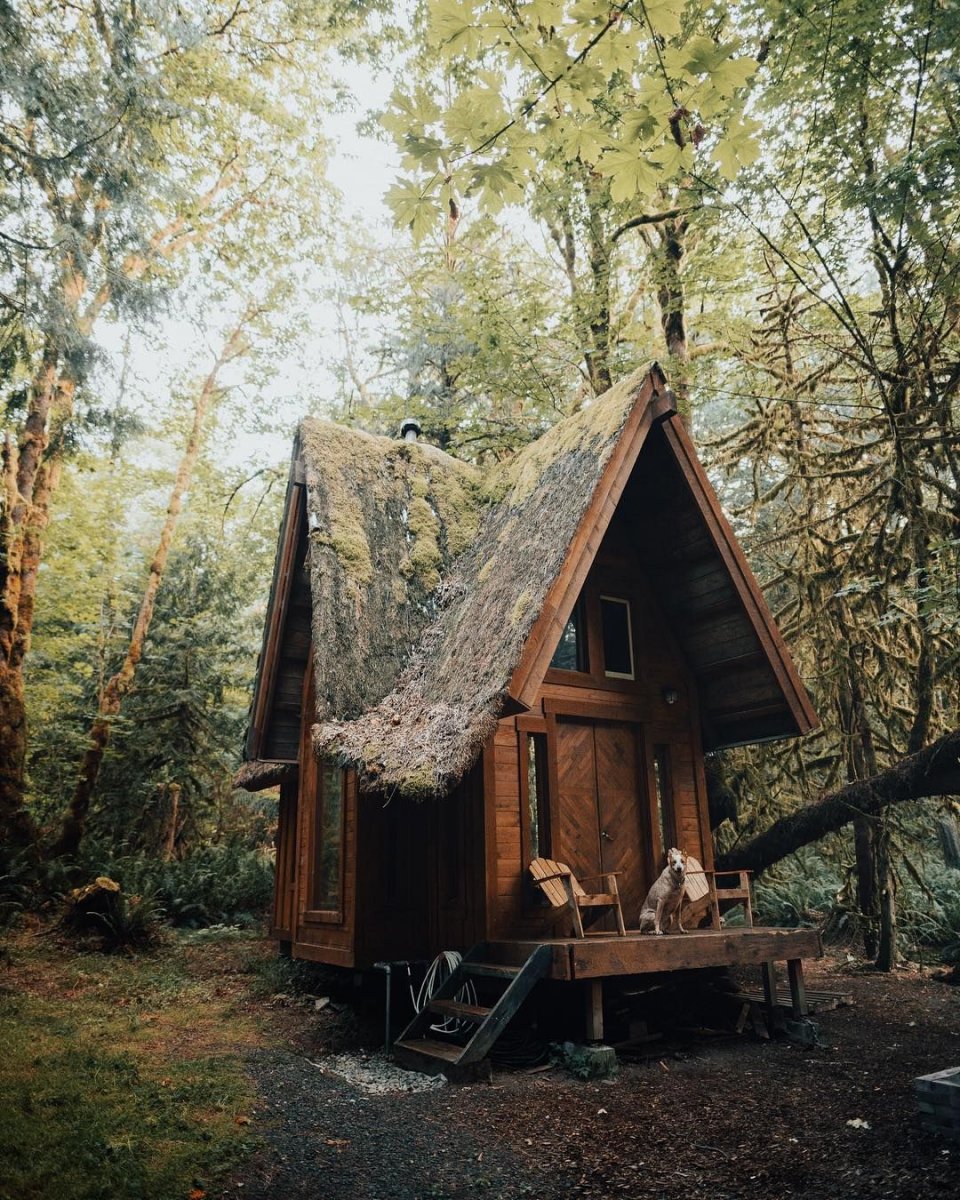 Лесной дом лесника