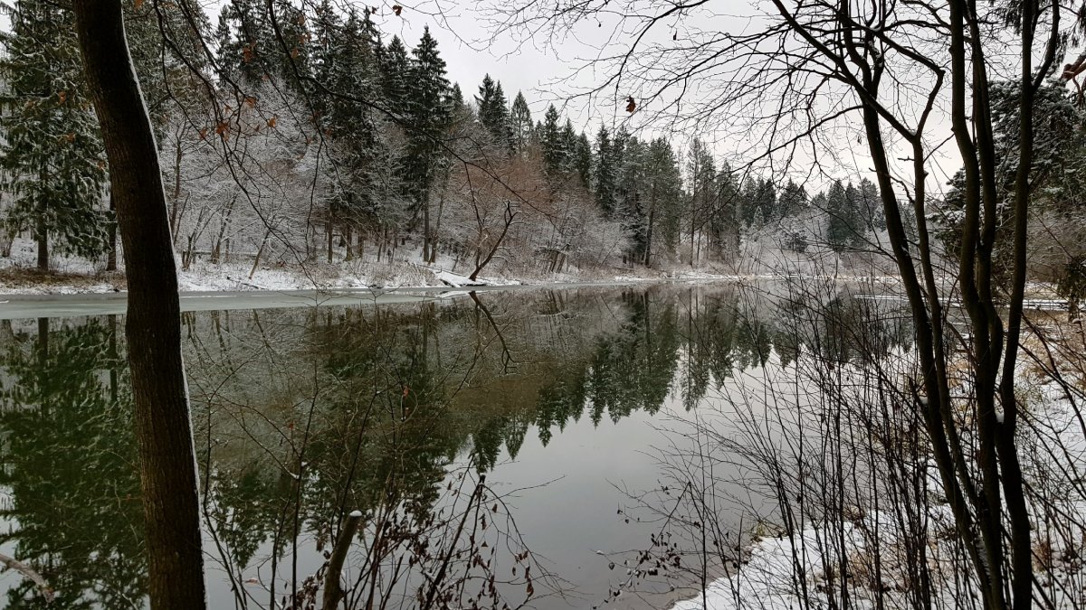 Озеро на Лазутинке Одинцово