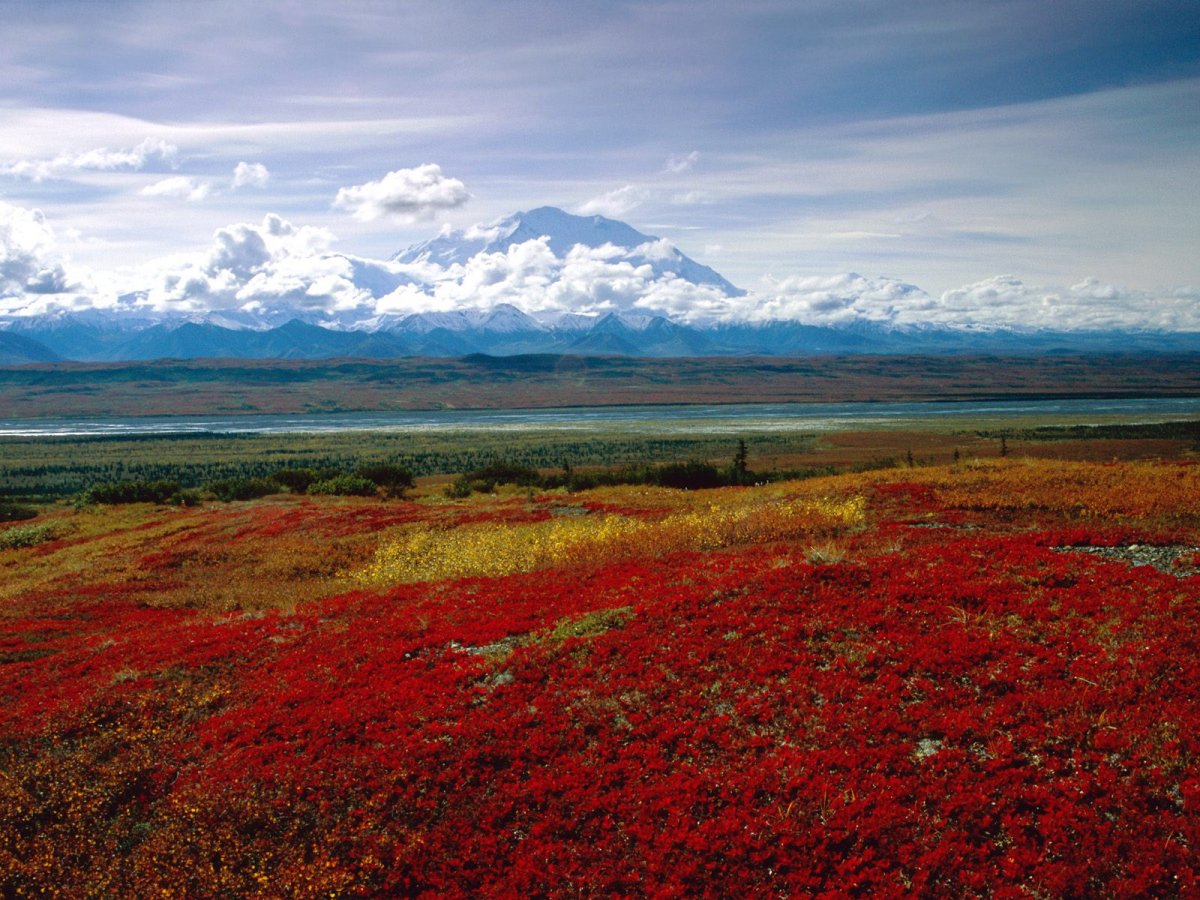 Арт национальный парк Денали Аляска