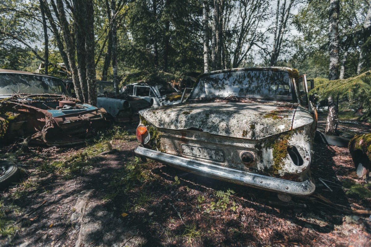 Заброшенные машины в лесу Ленинградская область