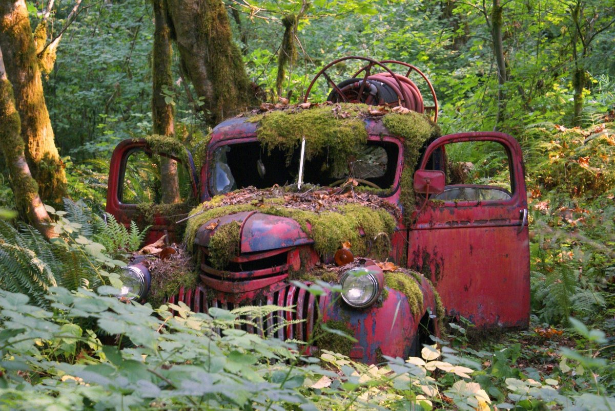 Деревня abandoned cars