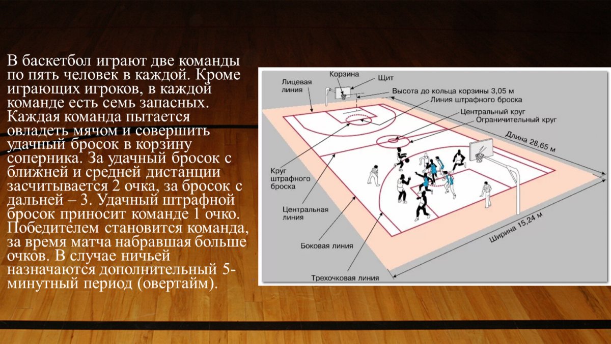 Размеры площадки для игры в баскетбол