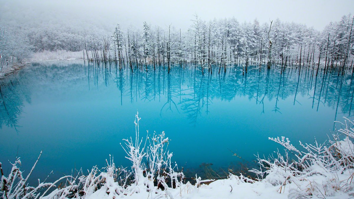 Голубое озеро Губкинский