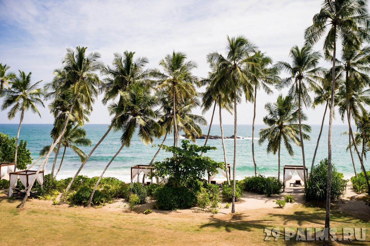 Коломбо Цейлон остров