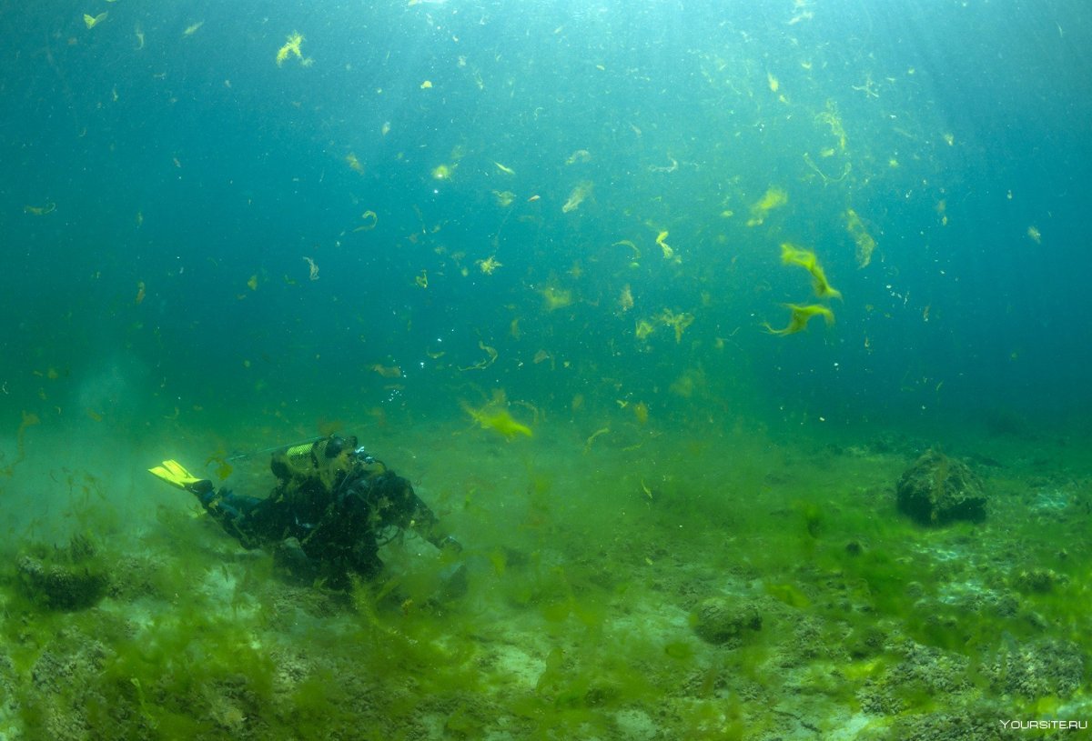 Телецкое озеро подводная охота