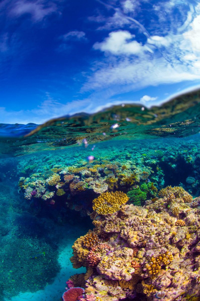 Барьерный риф атлас