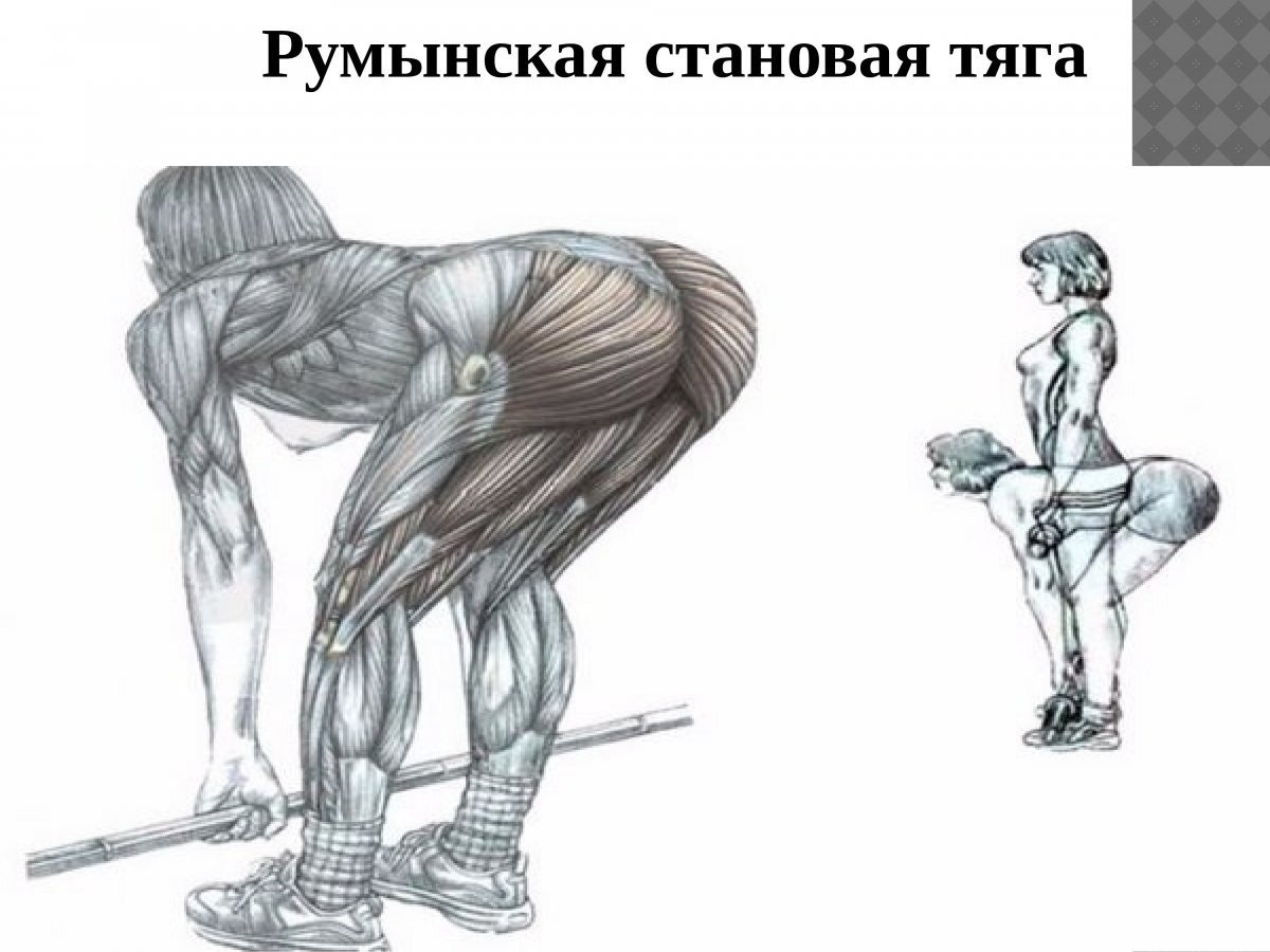 Румынская становая тяга мышцы