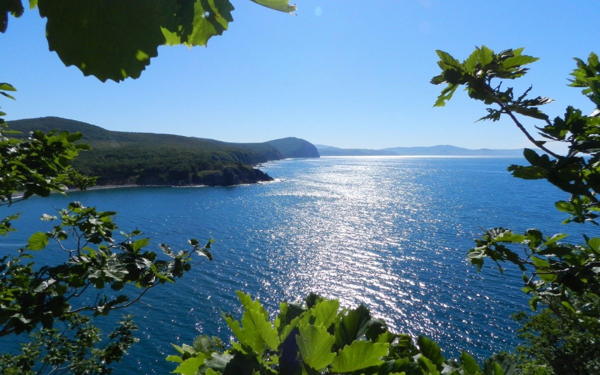 Берег черного моря Туапсе