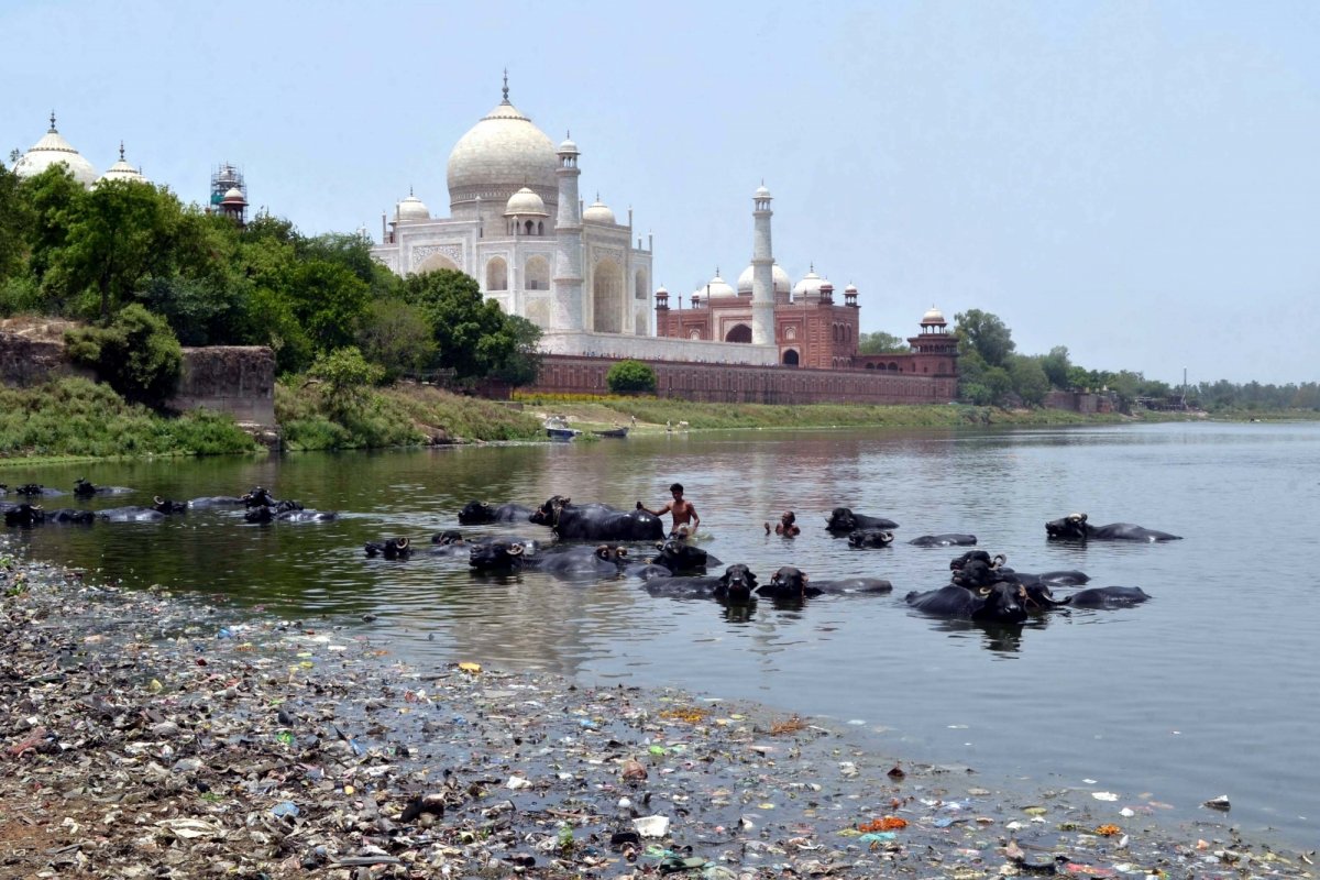 Тадж Махал в мусоре Индия
