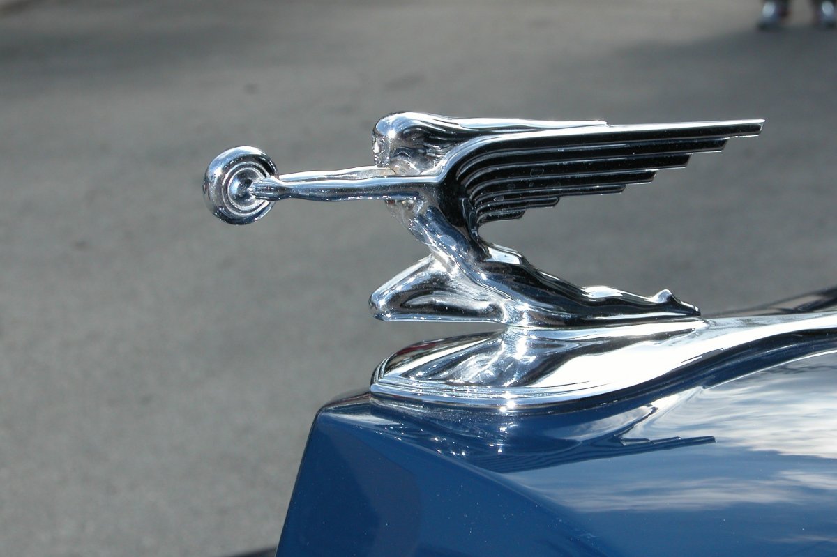 Автомобильный логотип в виде крыльев
