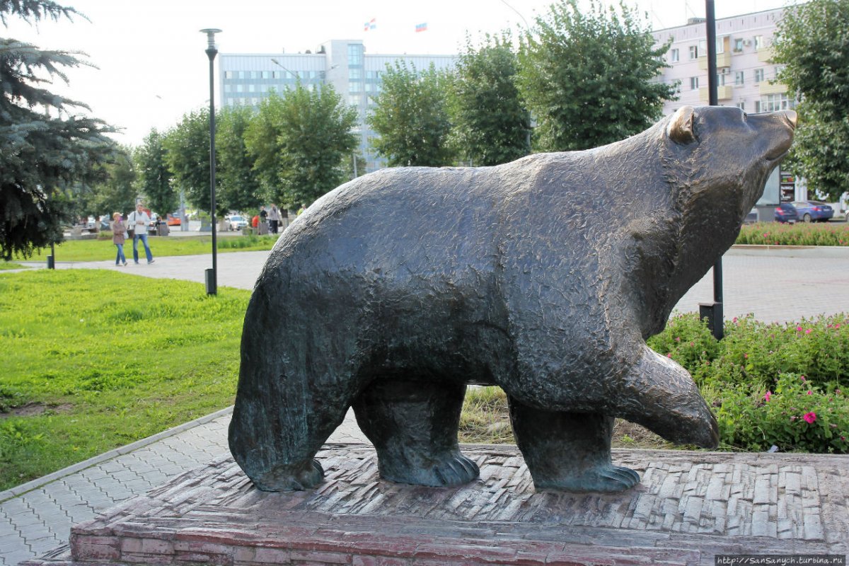 Медведь из Перми