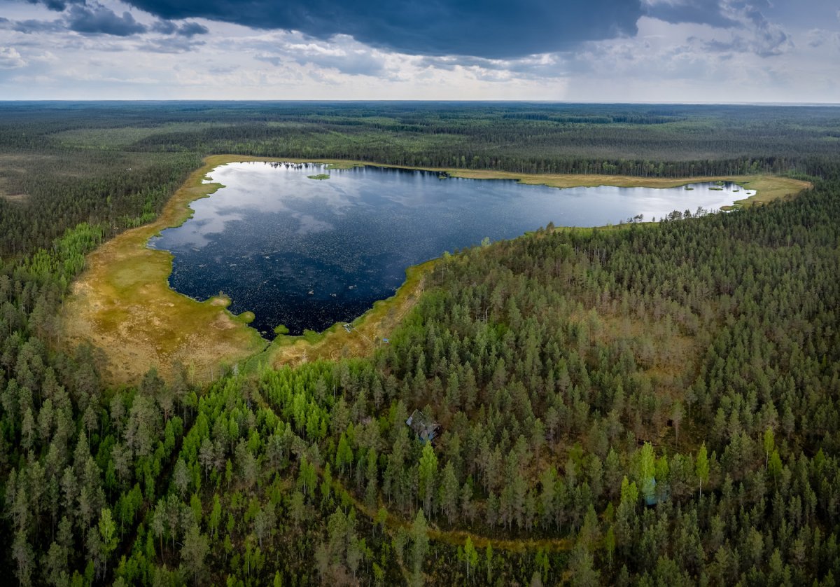 Озеро Купелище Руднянского района