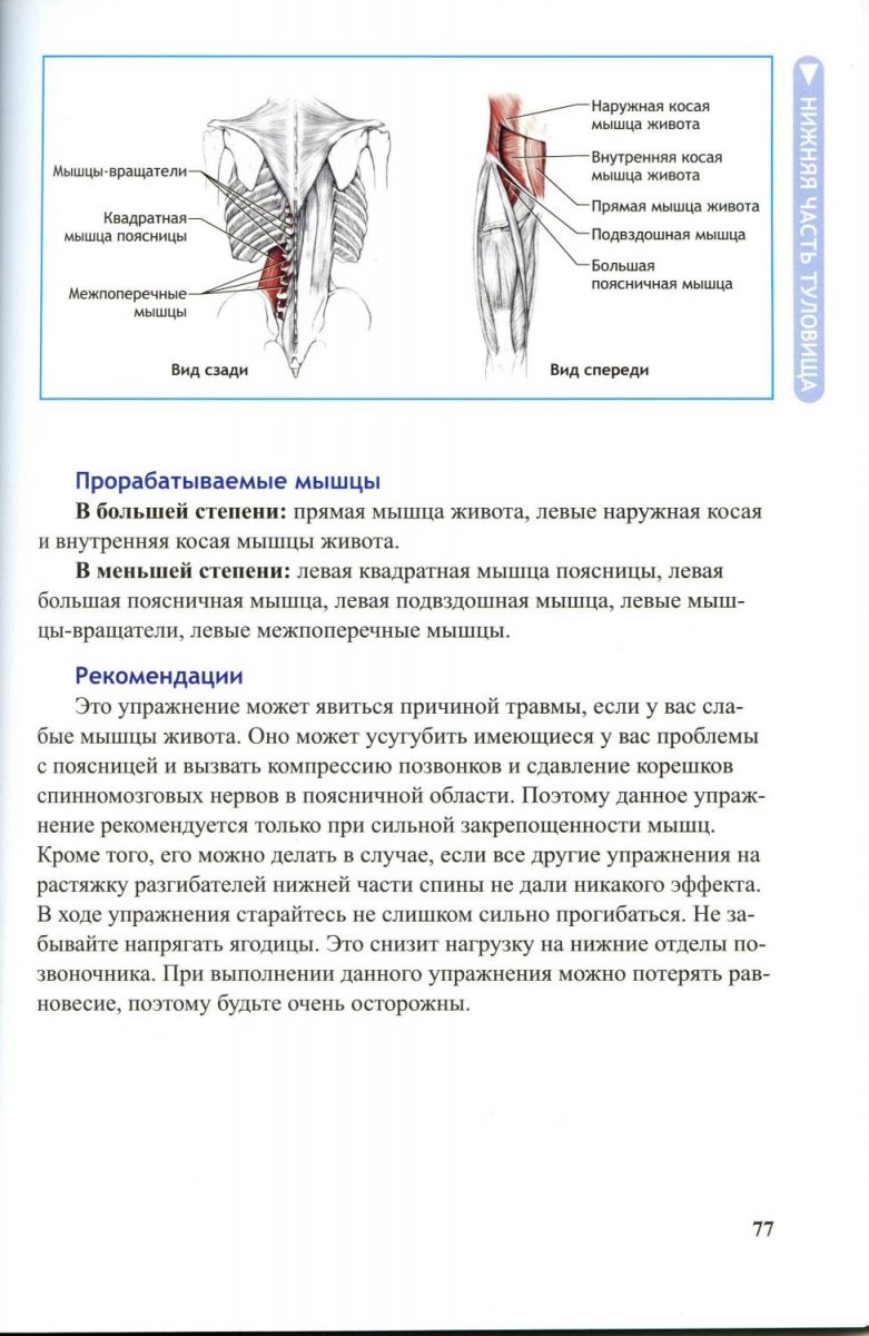 Спина человека анатомия