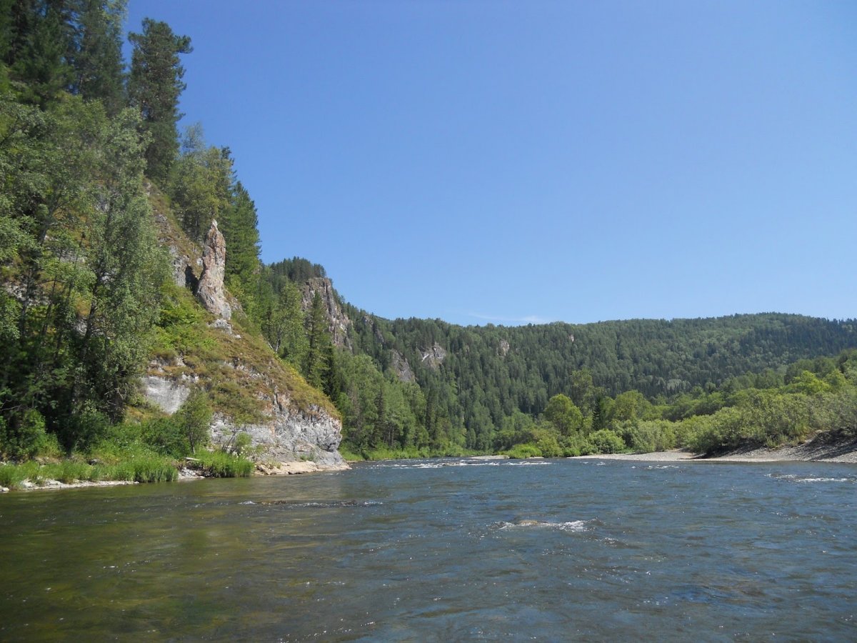 Река Мрассу Кузбасса