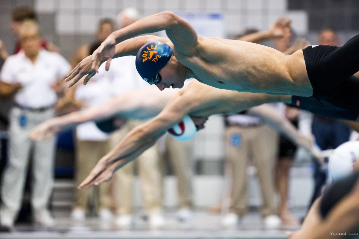 Прыжки в воду олимпиада
