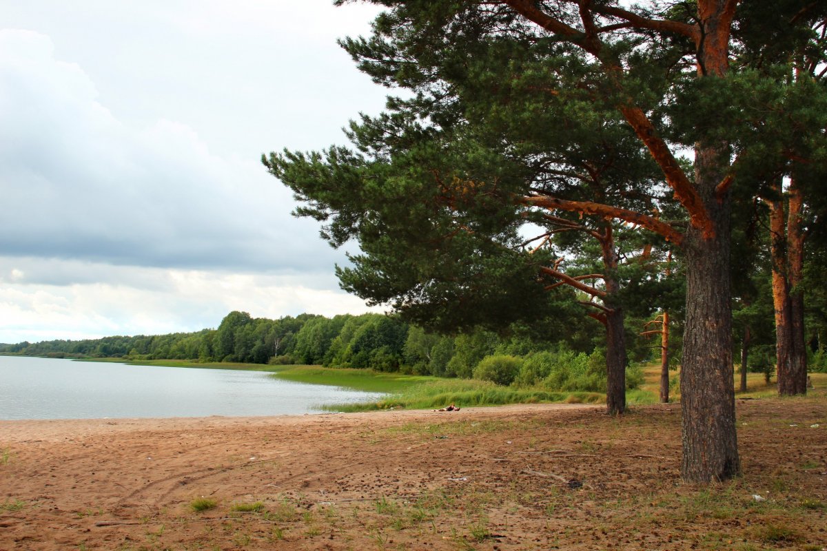Липовское озеро в Ленинградской