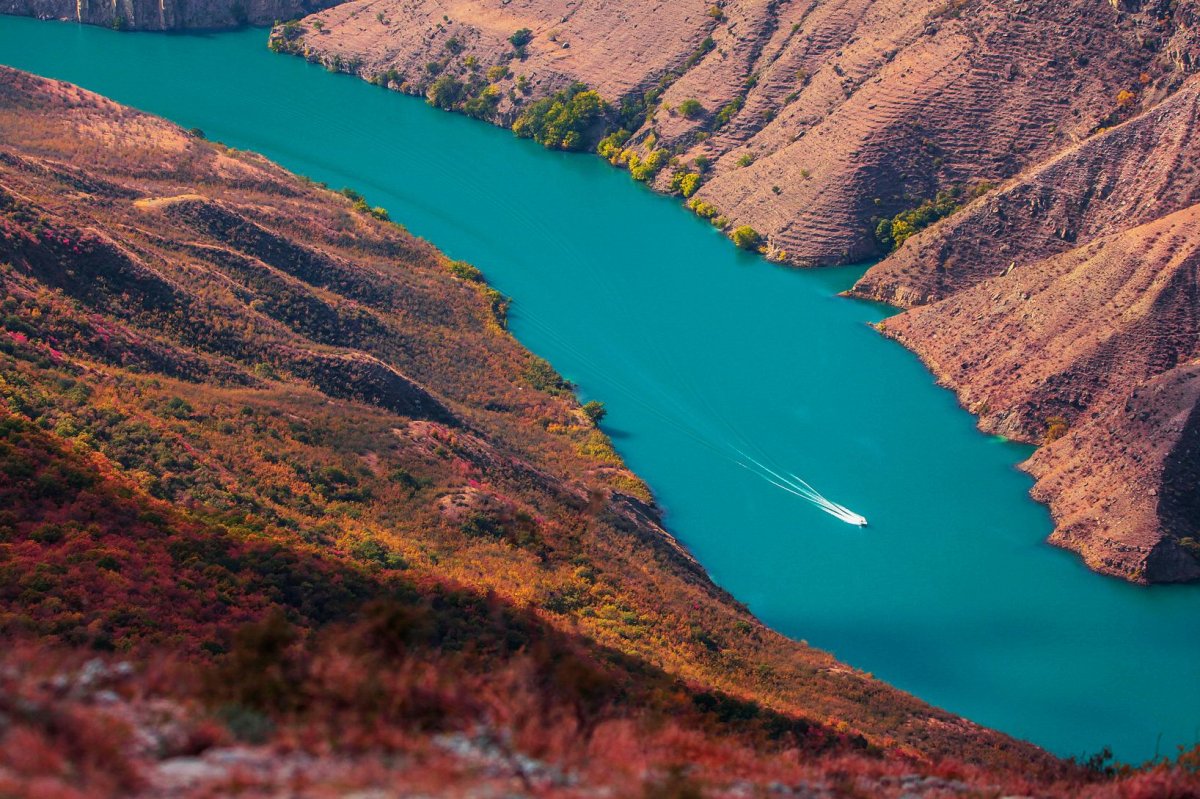 Дубки Дагестан Сулакский каньон
