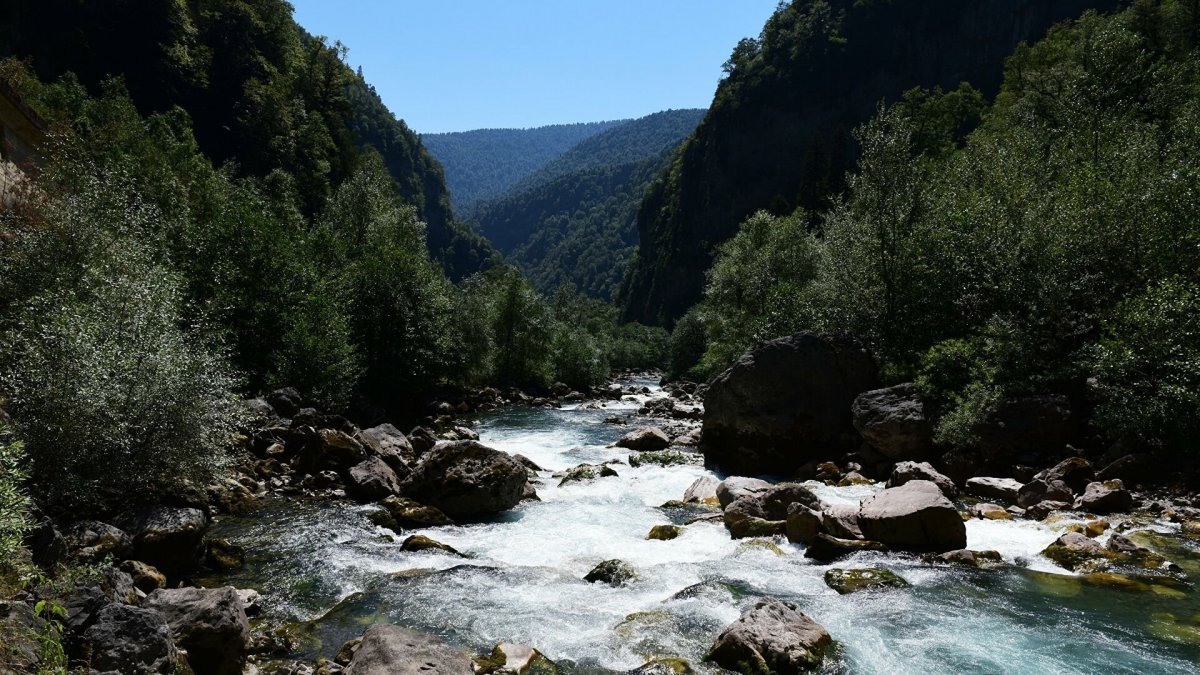 Устье реки Бзыбь Абхазия