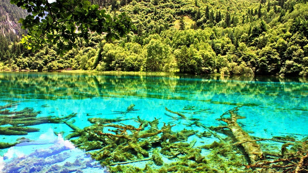 Озеро Рица в Абхазии HD