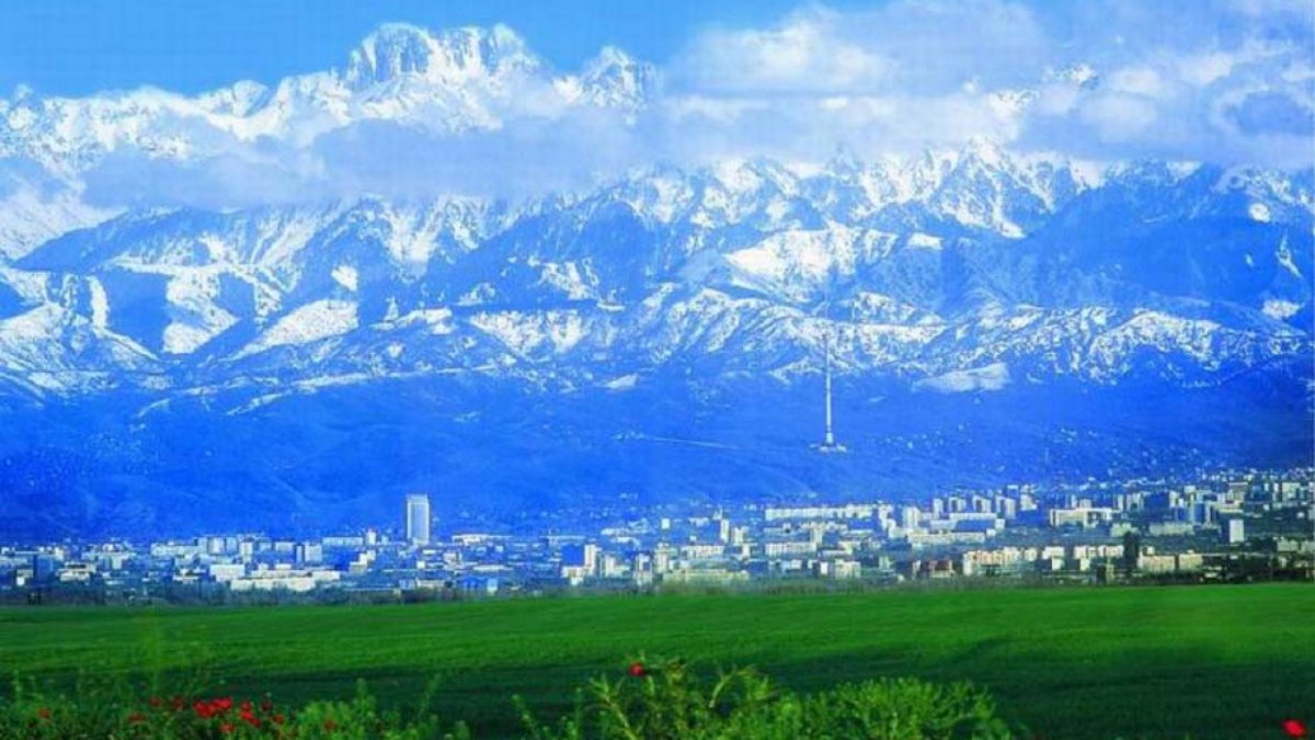Ташкент Алматы
