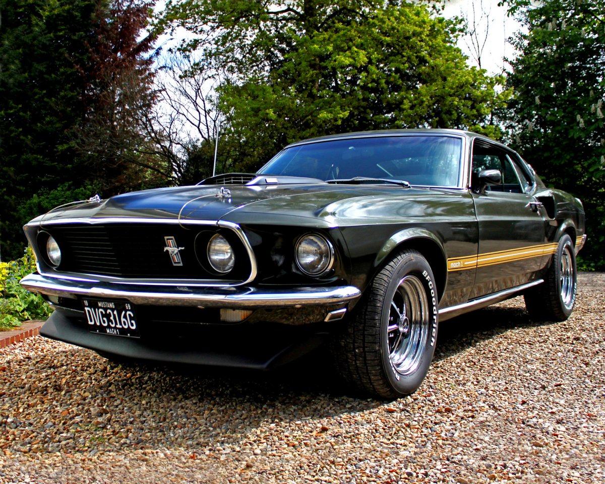 Ford Mustang gt Shelby 1967