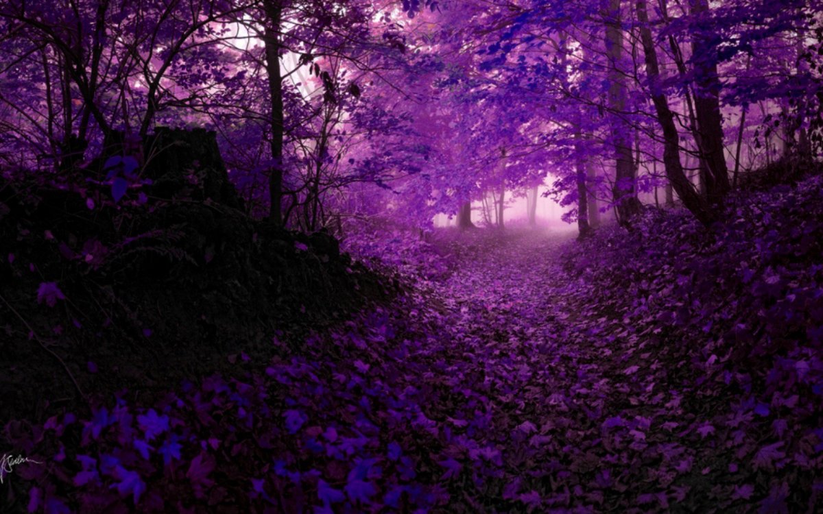 Темно фиолетовый с деревом