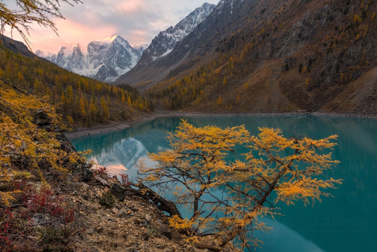 Шавлинское озеро горный Алтай