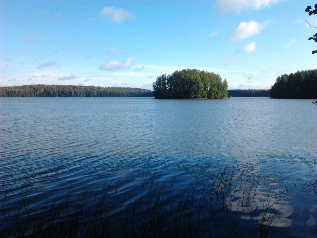 Озеро Сяберо Лужский район