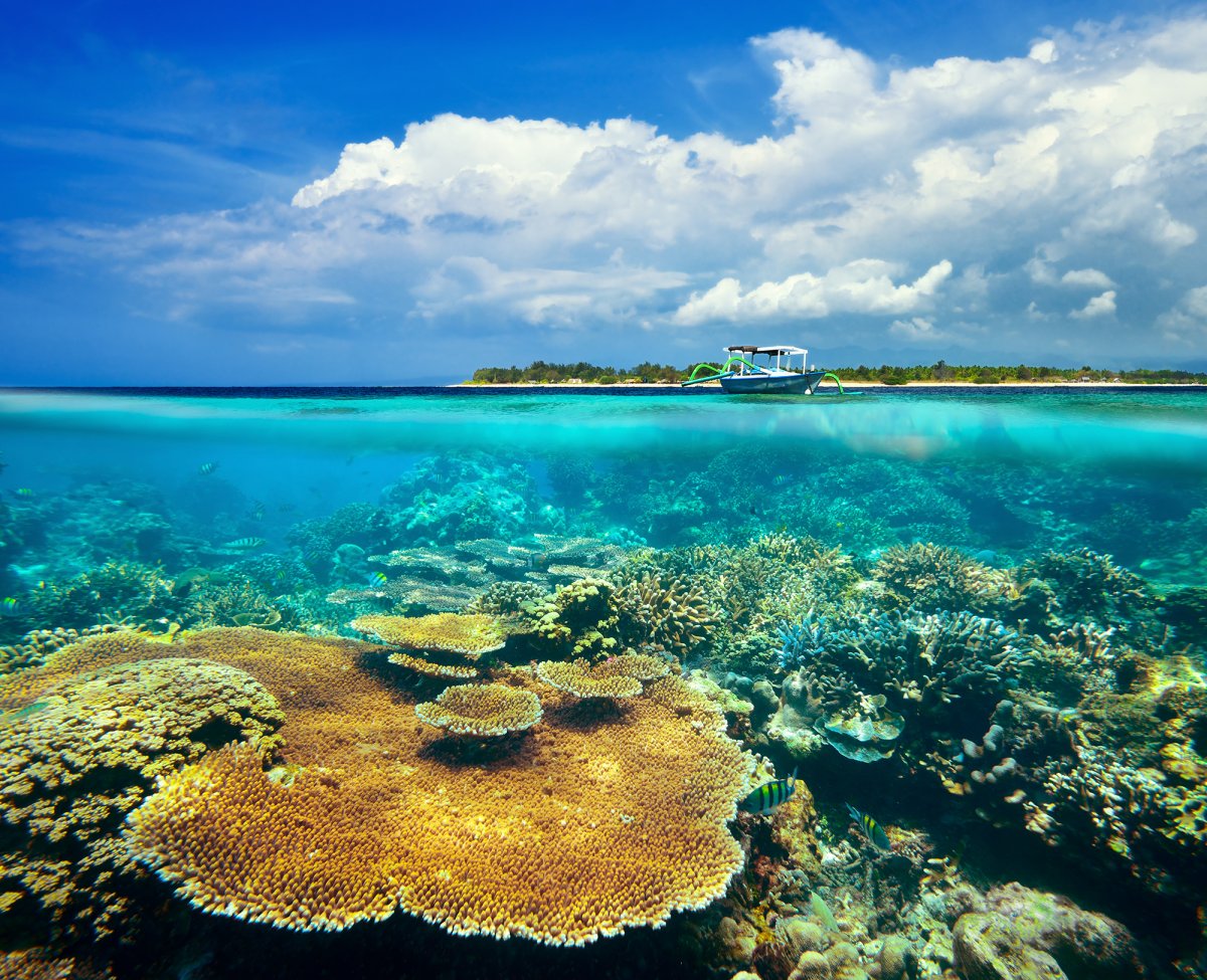 Мальдивы Барьерный риф