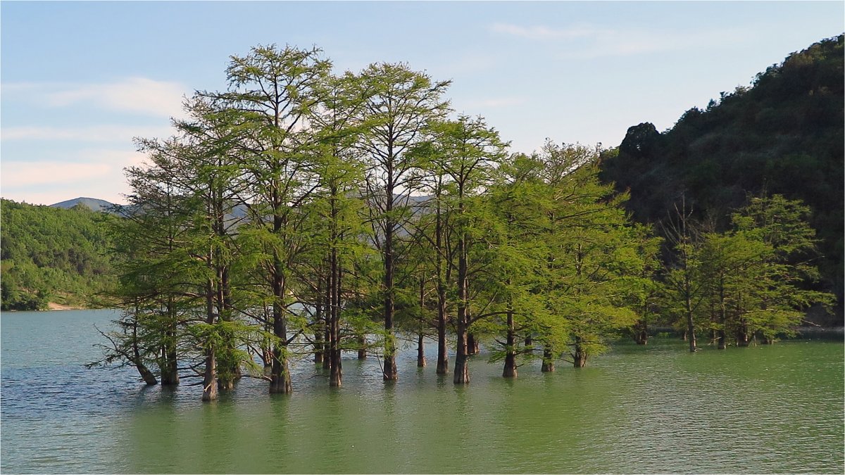 Тисовое озеро Сукко