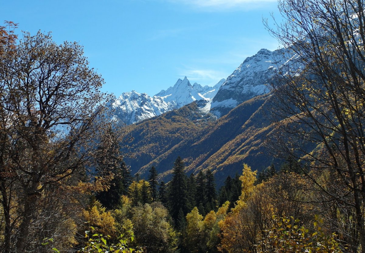 Альпийские Луга в Архызе