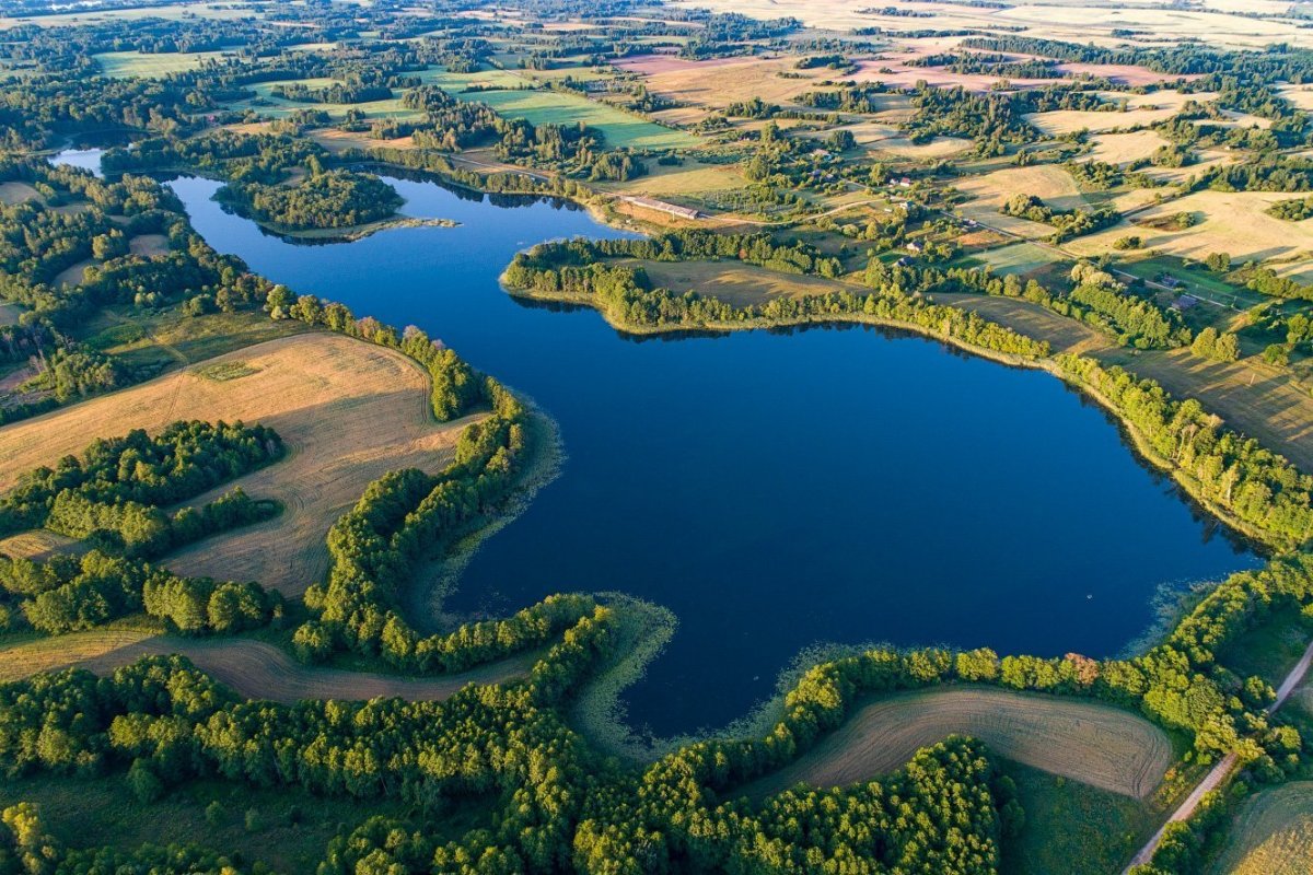 Озеро Свирь Белоруссия