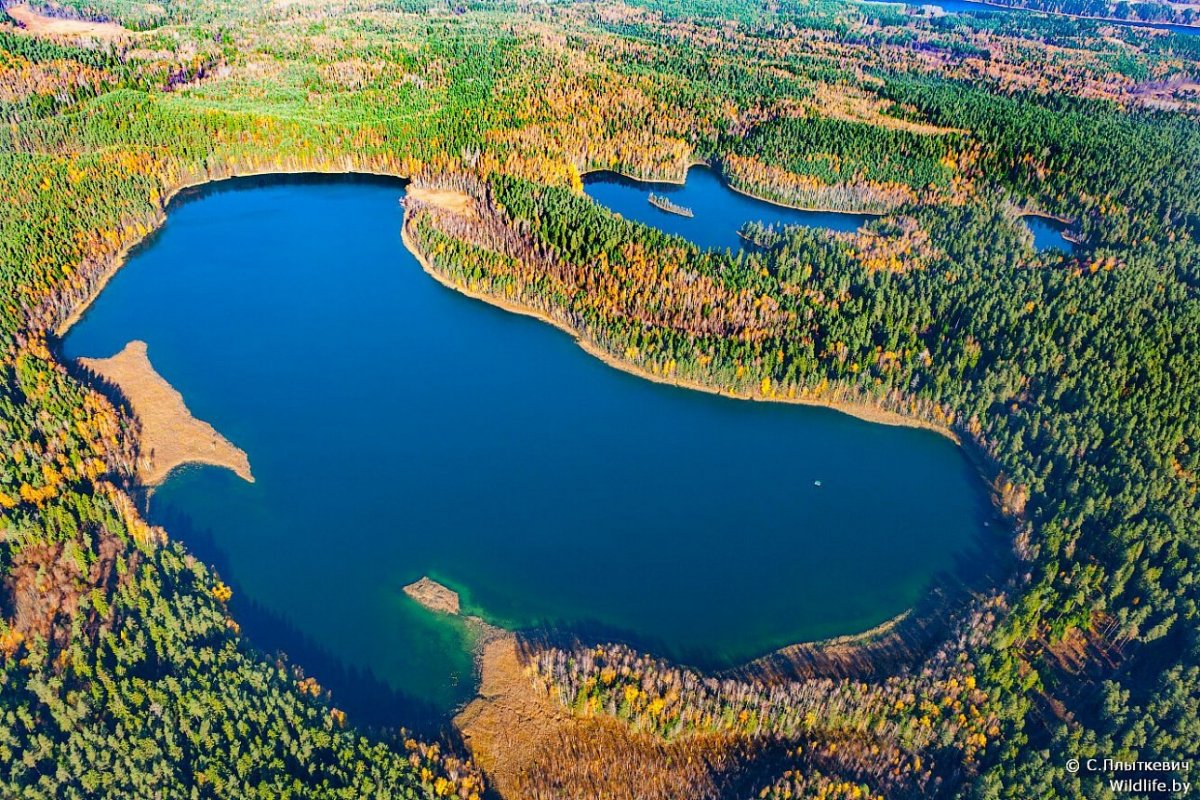 Озеро близ Богдановича