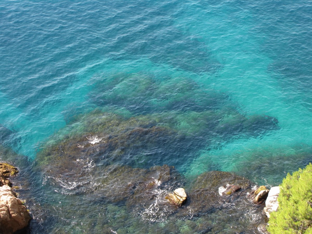 Акватория черного моря