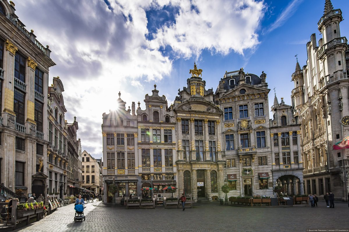 Брюссель фото дом золотое дерево