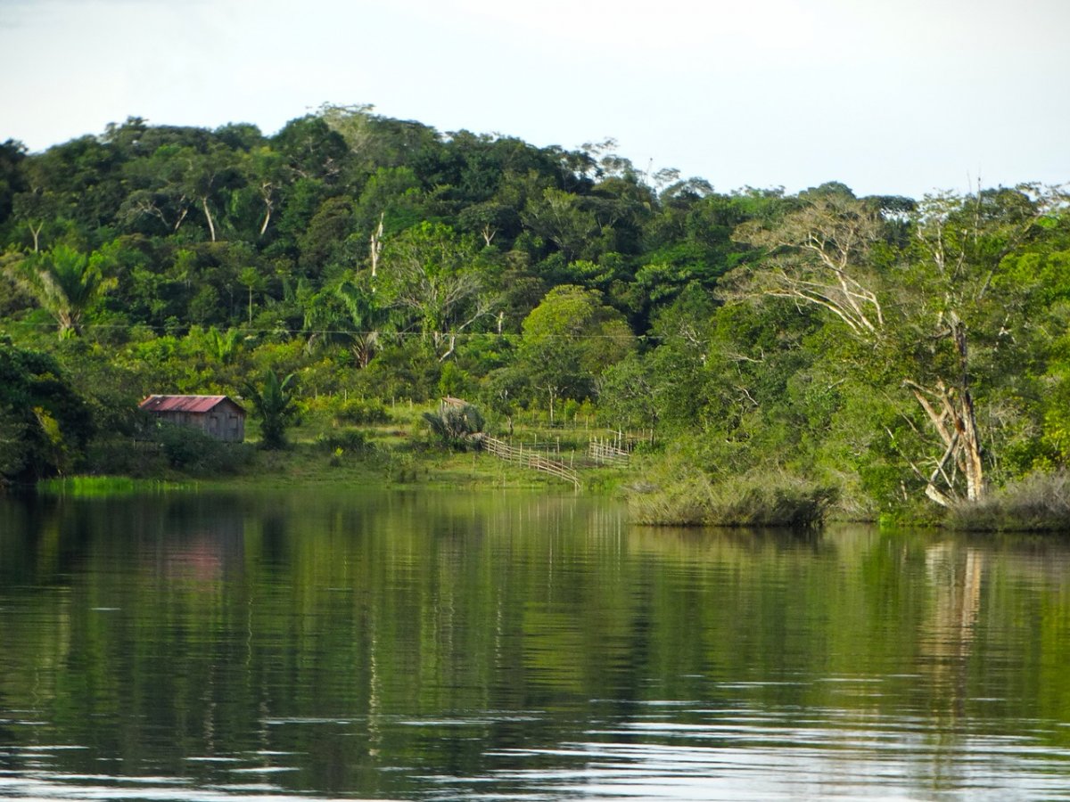 Исток реки Амазонка