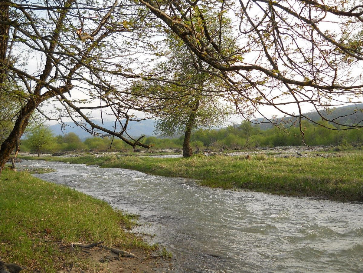 Быстротечная река Асса
