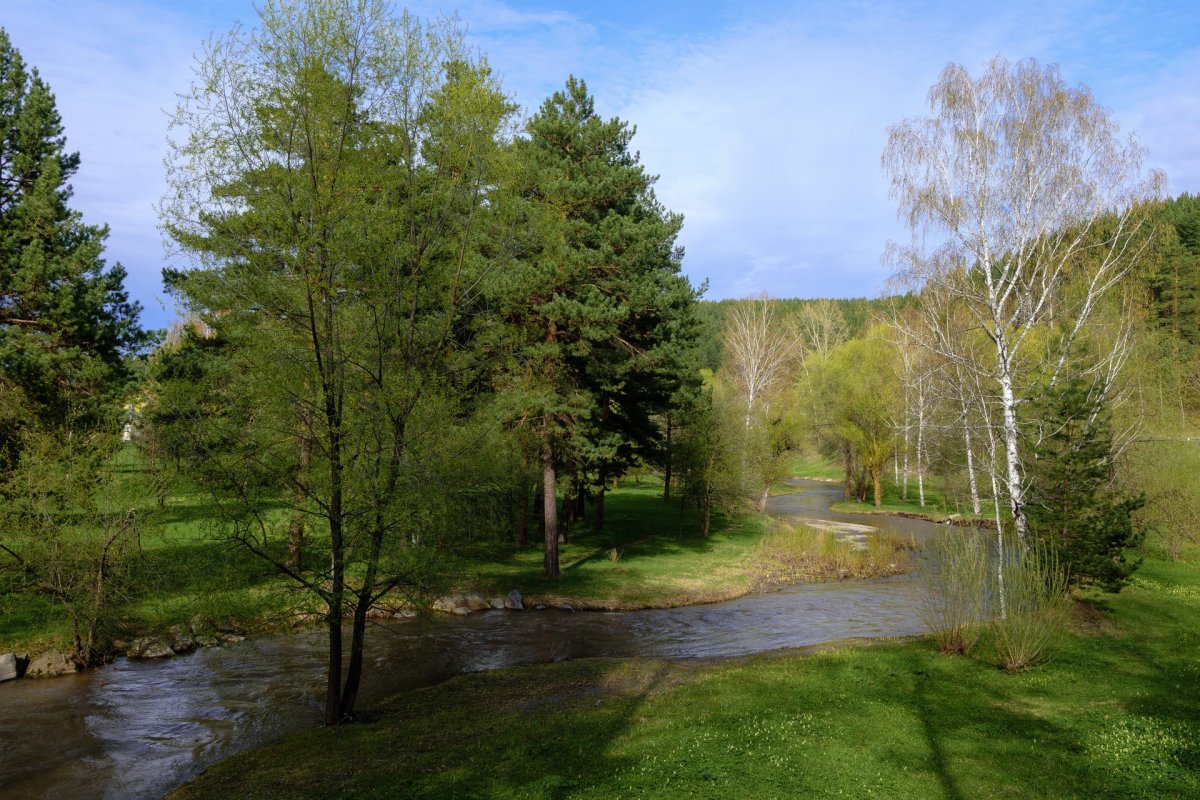 Река Белокуриха Алтайский край фото