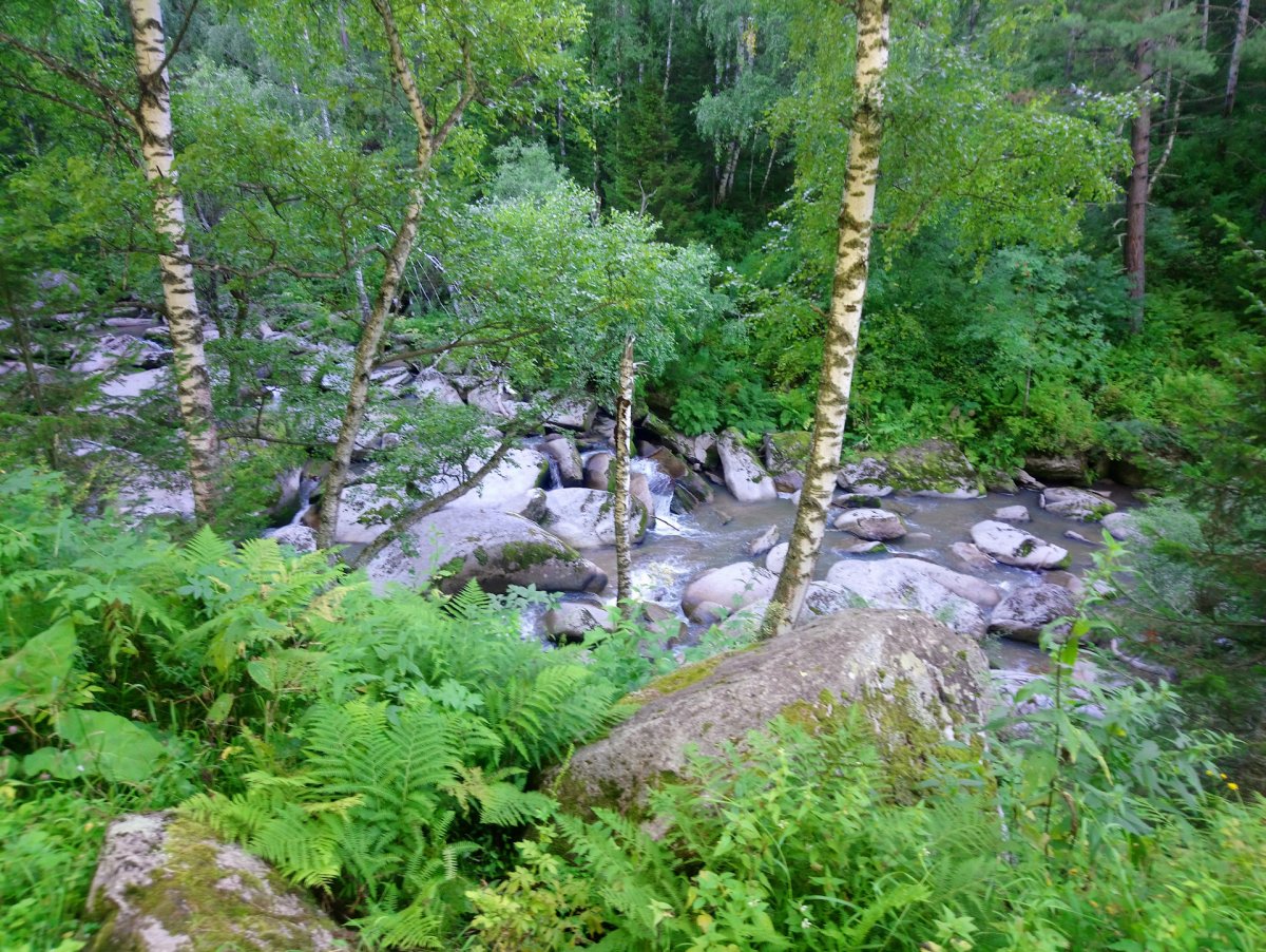 Ущелье реки тара Алтай
