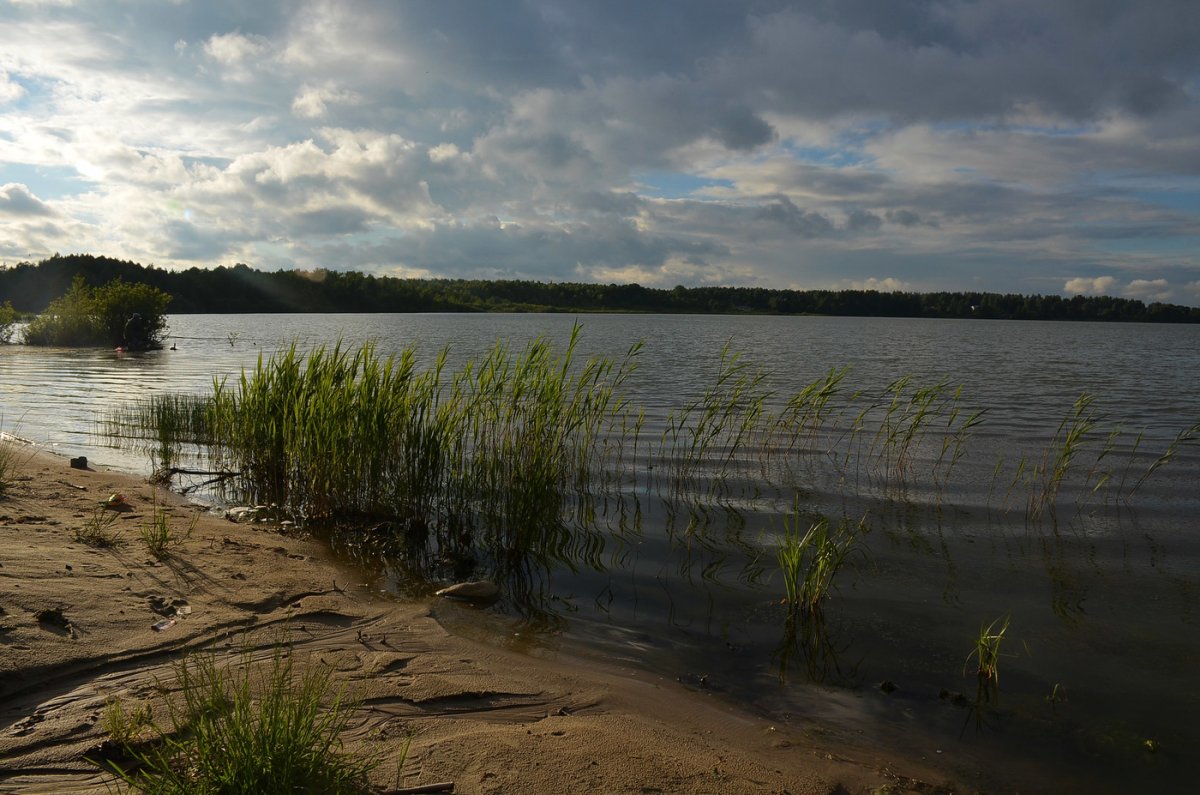 Бисерово озеро Москва
