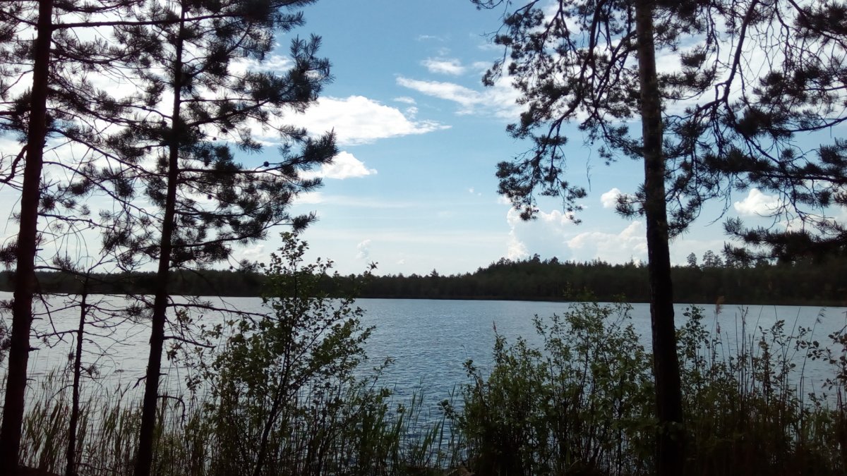Озеро Санхар Вязниковский район