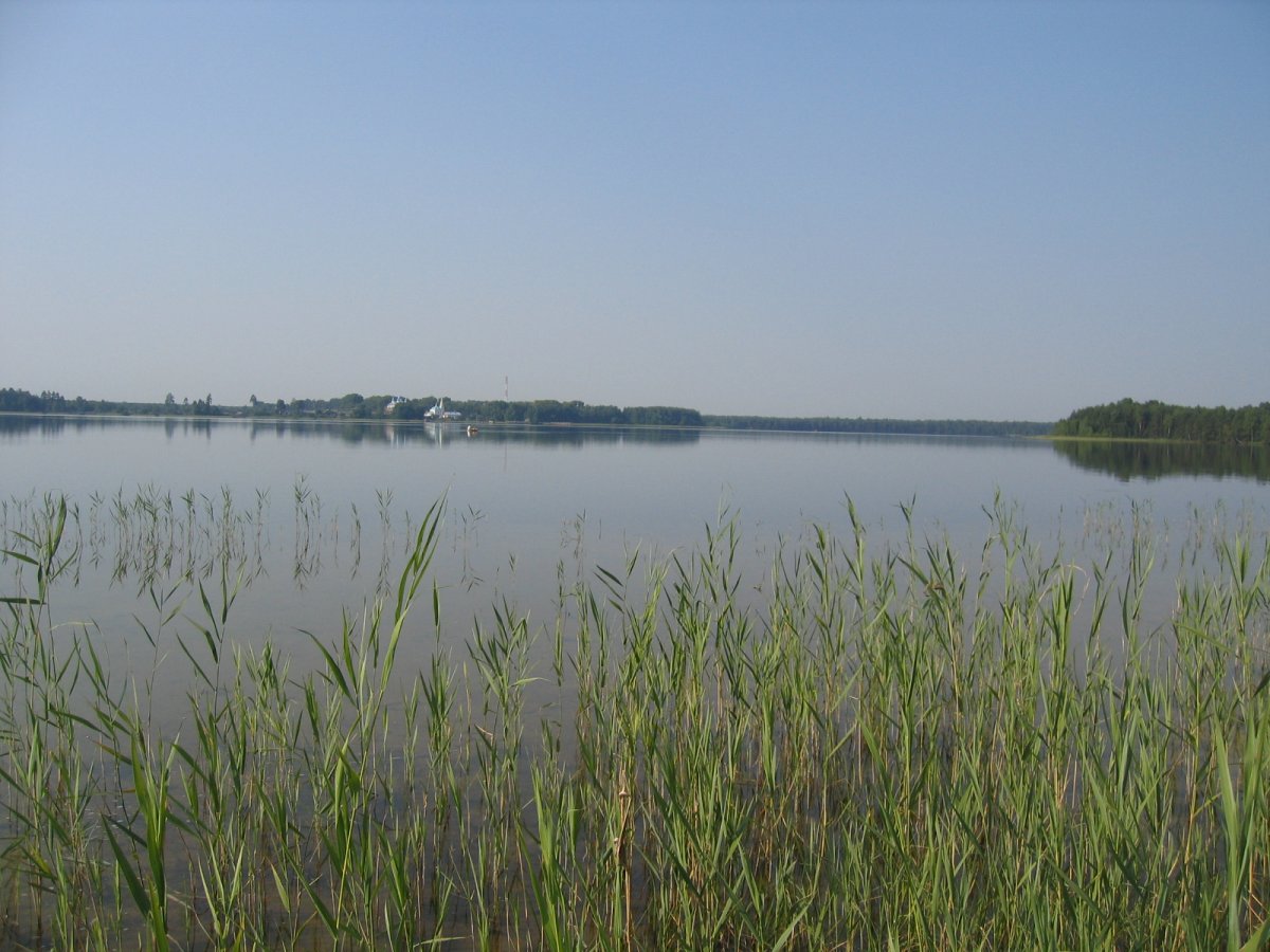 Озеро вышихры Владимирская область