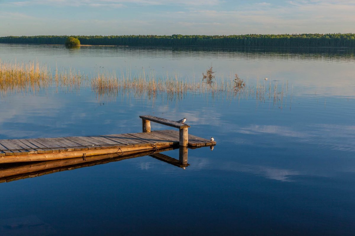 Озеро великое Владимирская область
