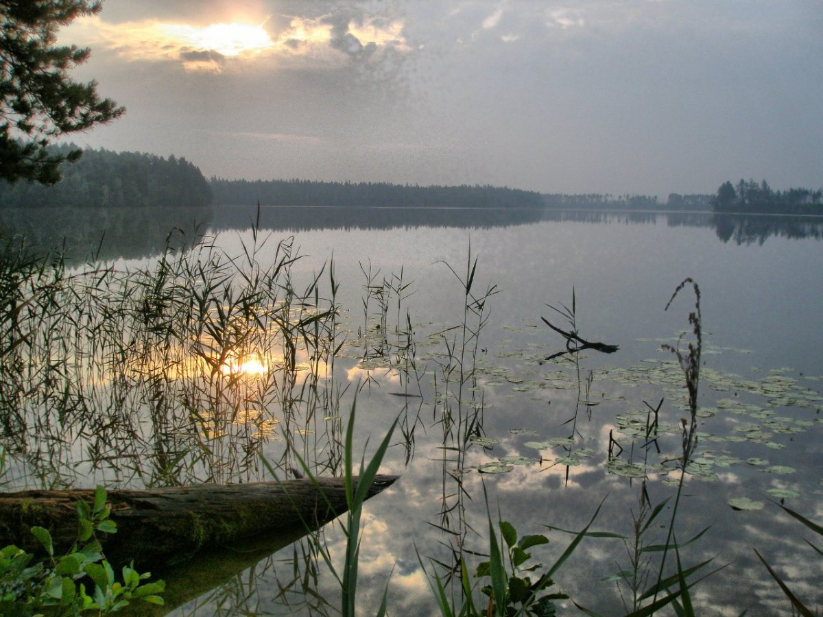 Озеро черное Бабаевский район