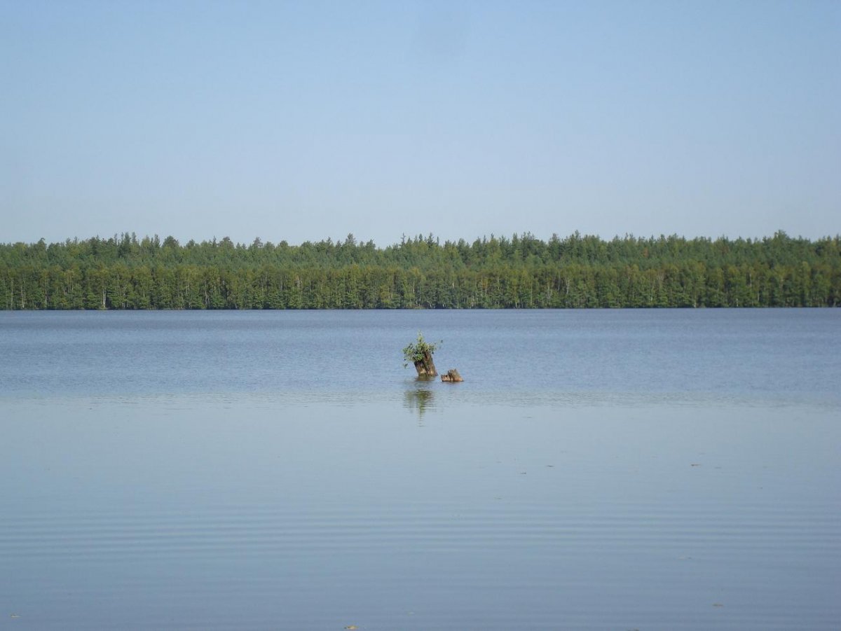 Озеро Шириха Владимирская область