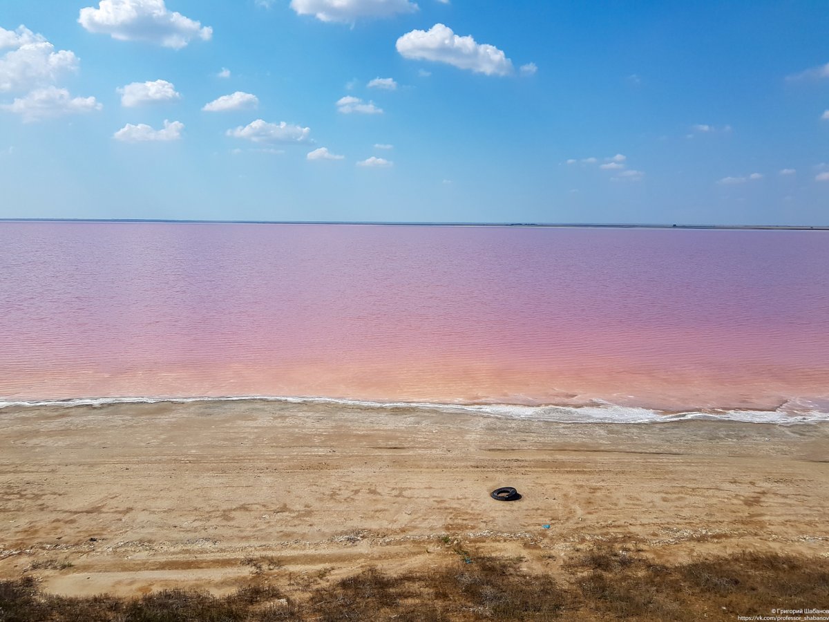 Мексика розовое озеро и Фламинго