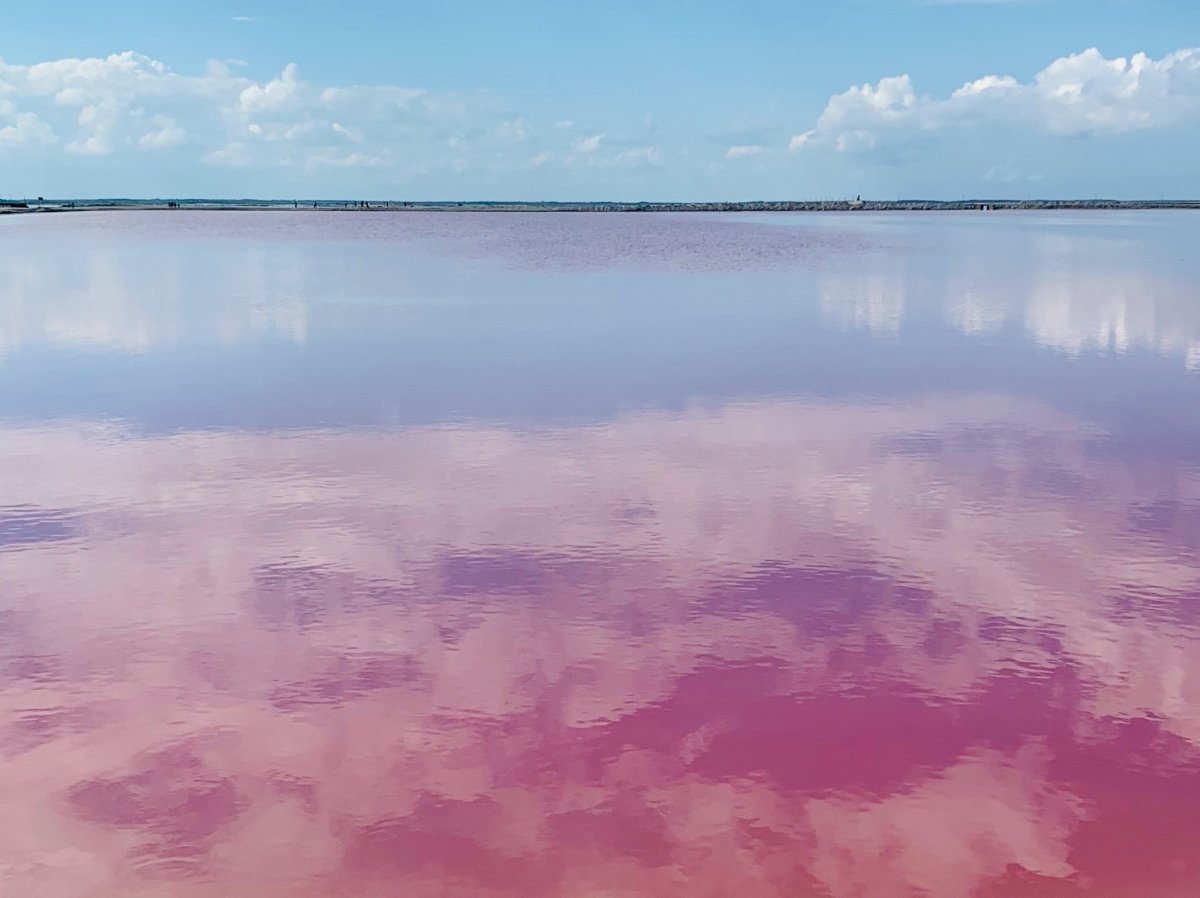 Розовое озеро девушка